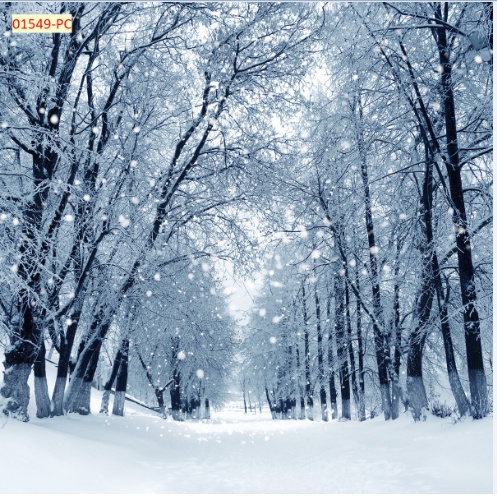 Tranh Dán Tường Hàng Cây Xanh Trang Trí Nhà Hàng, Quán Ăn Độc Đáo