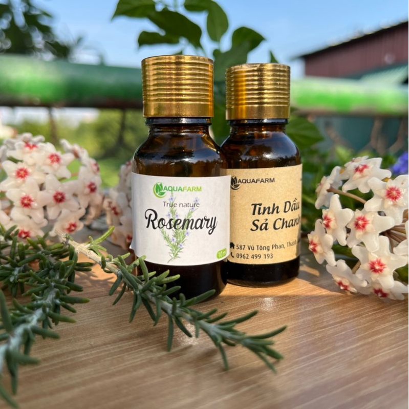 Tinh dầu sả chanh nguyên chất xông phòng, đuổi muỗi, sát khuẩn