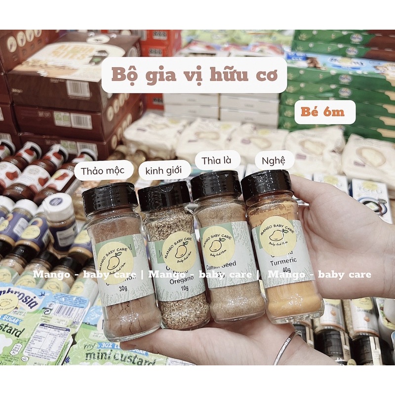 Bộ gia vị hữu cơ cho bé 6m - hàng đi air