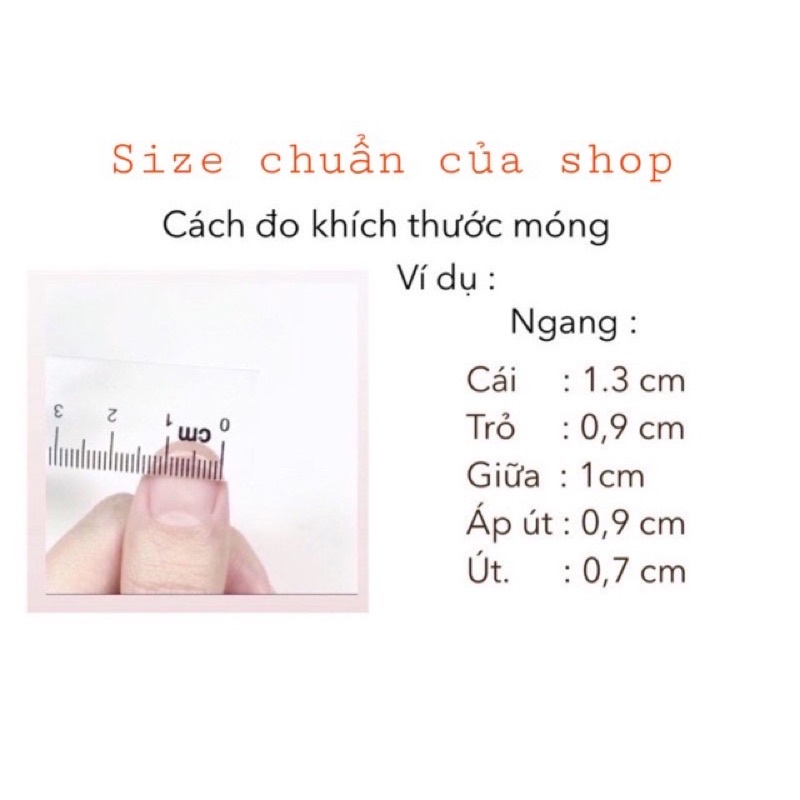 Nailbox thiết kế,móng úp,móng giả giá rẻ