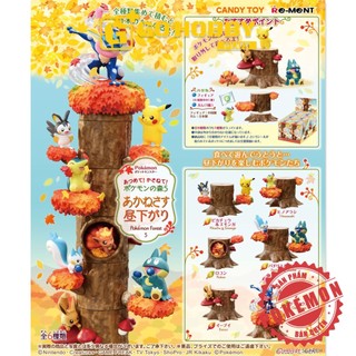 REMENT | POKEMON Forest 5 | Đồ chơi mô hình