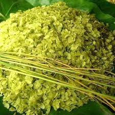 [500G] - CỐM KHÔ TÂY BẮC