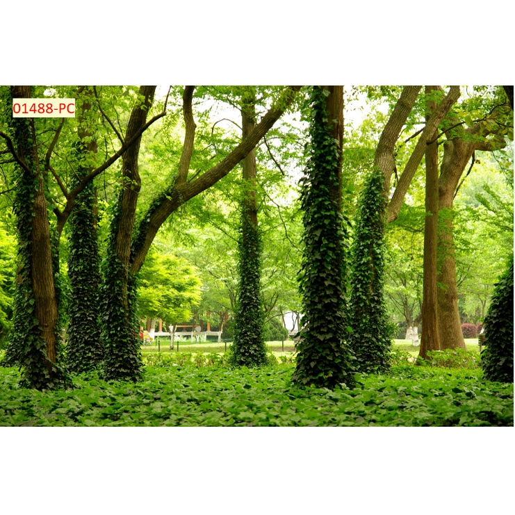 Tranh Dán Tường Hàng Cây Xanh Trang Trí Nhà Hàng, Quán Ăn Độc Đáo