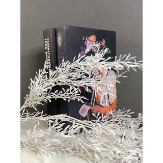 Măng tuyết nhựa trắng