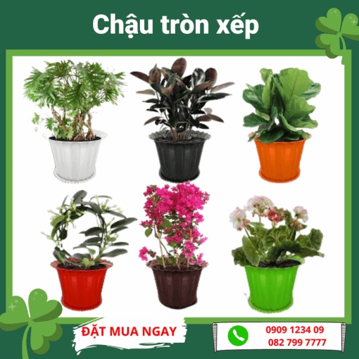 (Combo 2 cái)Chậu tròn xếp chậu xếp chậu nhựa CX 2T(20 x Cao15cm) -Green City