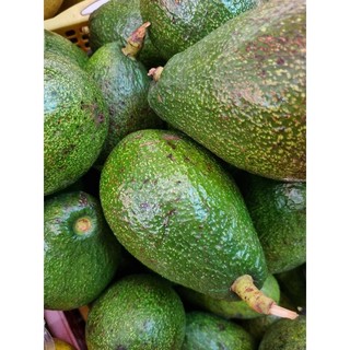 Bơ nếp Mộc Châu (1kg)