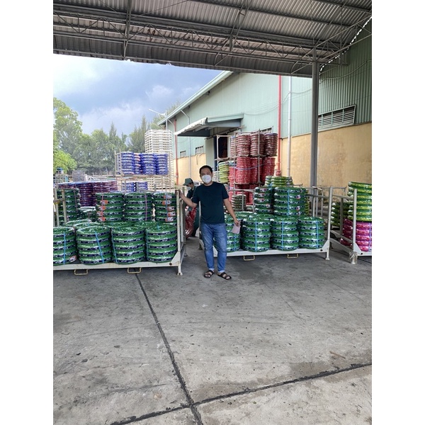 Lốp Xe MSX 120/70-12 và 130/70-12 Chính Hãng DPLUS