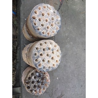 sỉ than tổ ong
