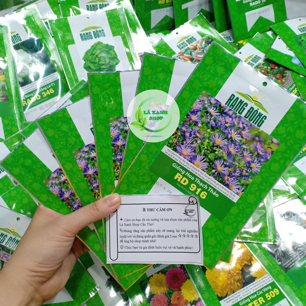 Hạt giống Hoa Thạch Thảo Tím Dễ Chăm Sóc, Hoa Nhiều, Trồng Quanh Năm (gói 0,2 gram) - Hạt giống Rạng Đông