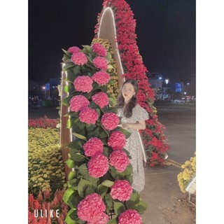 Đầm hoa nhí tay bồng