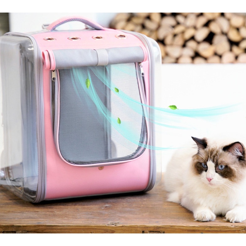 Balo vuông kiểu dáng Hàn Quốc đựng chó mèo trong suốt size siêu lớn đựng lên tới10kg - Thaivucattery