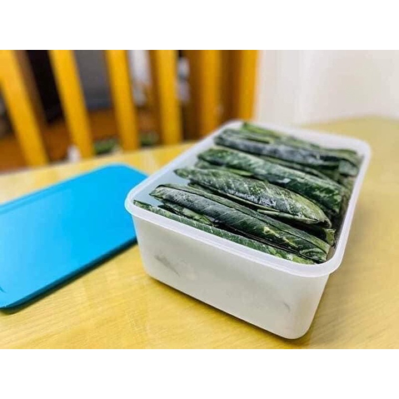 HỘP TRỮ ĐÔNG 5,7L TUPPERWARE, nhựa nguyên sinh, bảo hành trọn đời, đựng vừa 2 con gà.