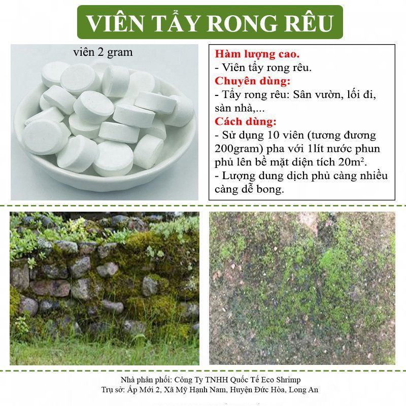 500g Viên Tẩy Rong Rêu Siêu Sạch , sàn nhà , tường xi măng sân vườn# túi 500g