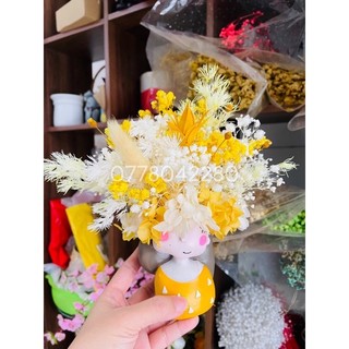 Bình hoa cô gái - Hoa khô