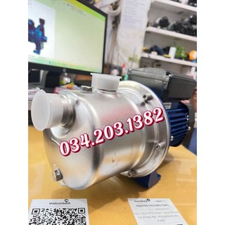 máy bơm con lợn đầu Inox Jexm 5
