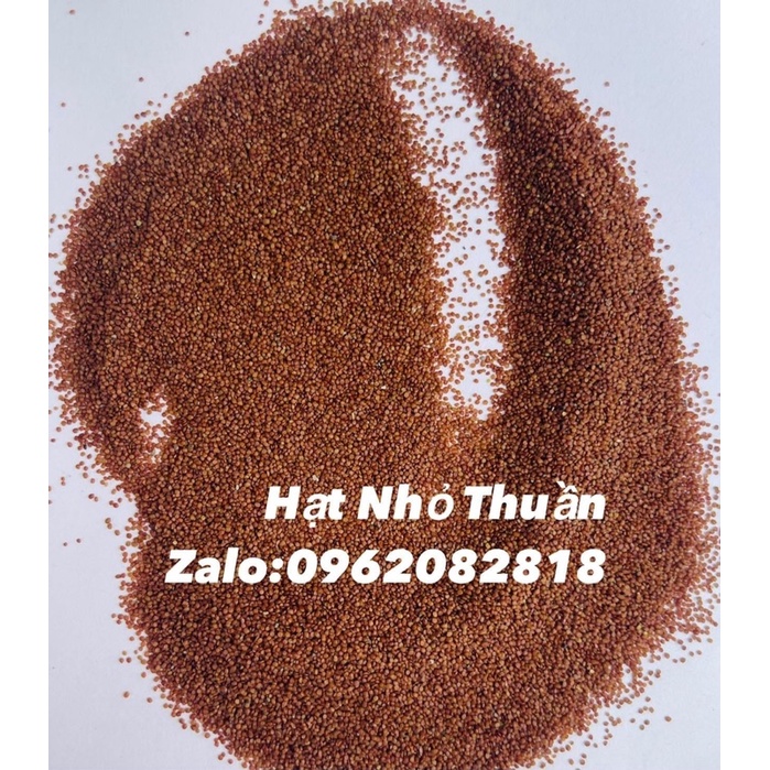 Hạt Ngũ Hoa - Hạt Đình Lịch Nguyên Chất Hạt Sạch - Kết Dính Tốt Cao Cấp Chuyên Dùng Trong Spa TMV- thienhangspa