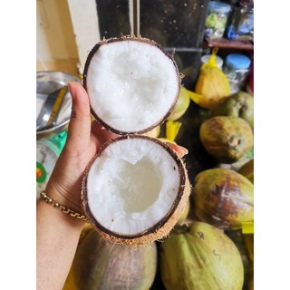 Dừa Sáp Bi đặc dày cơm 120k trái 600g-800g