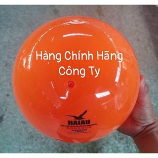 Bóng Chuyền Hơi HẢI ÂU DRAGON 200Gram Vs 250Gram Hàng Chính Hãng HAIAU SPORT COMPANY