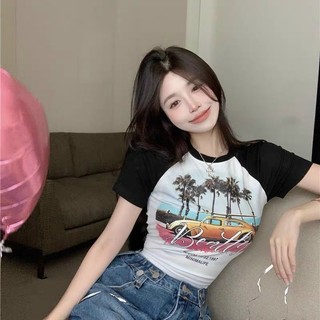 ÁO CROPTOP PHỐI TAY CÂY DỪA CCD1