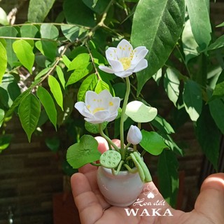 Hoa Đất Sét Mini- Hoa Sen Mini 12cm