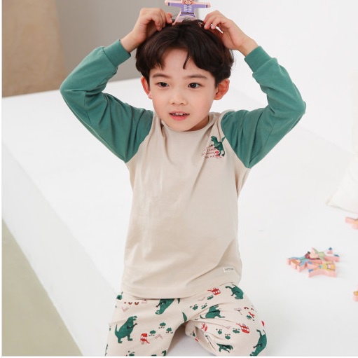 Bộ thun cotton dài xuất Hàn cho bé trai nhiều hình BPI012