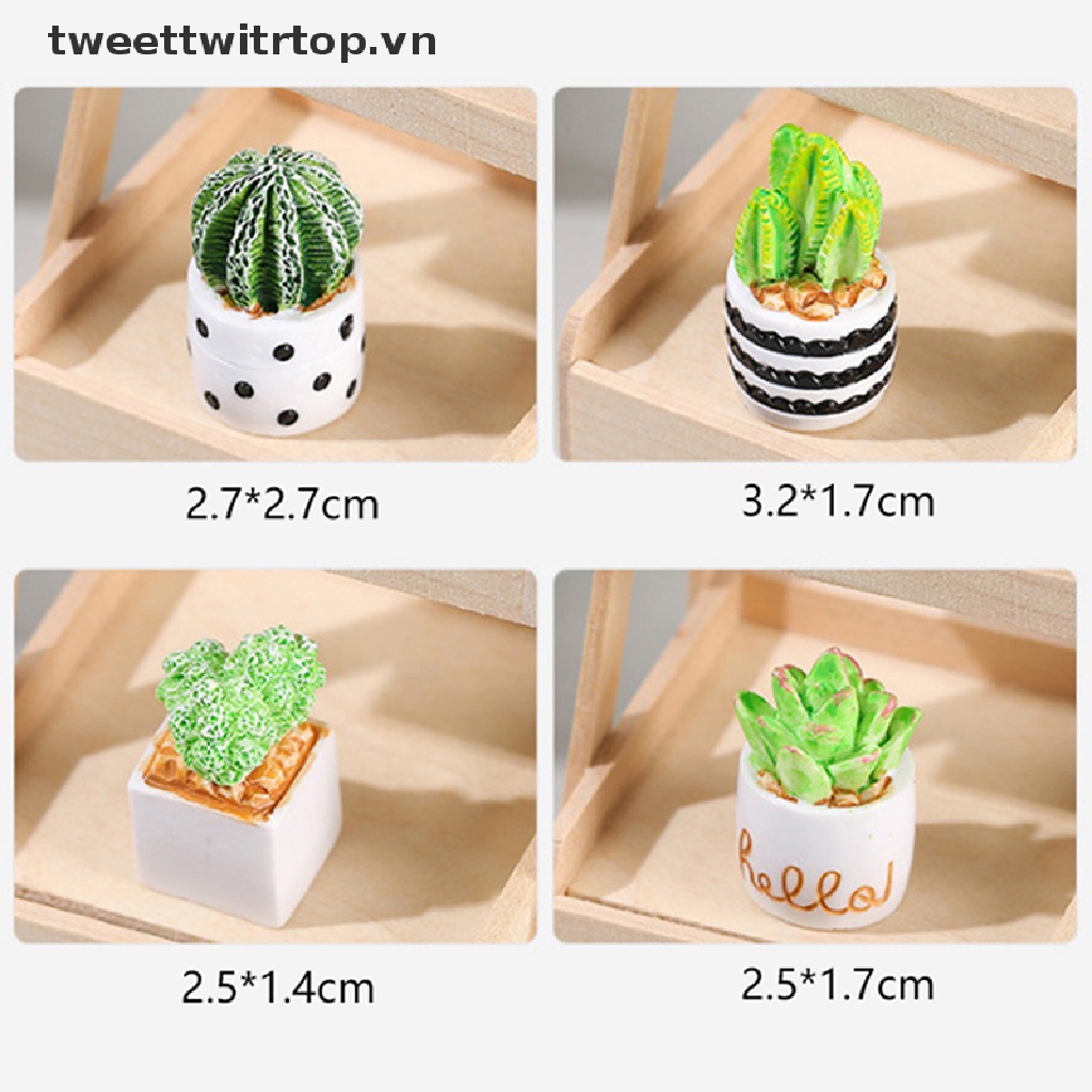 Chậu Cây Xương Rồng Mini Trang Trí Nhà Búp Bê