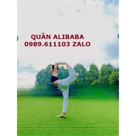 🌴🌴 Quần Alibaba yoga màu trơn, voi thái