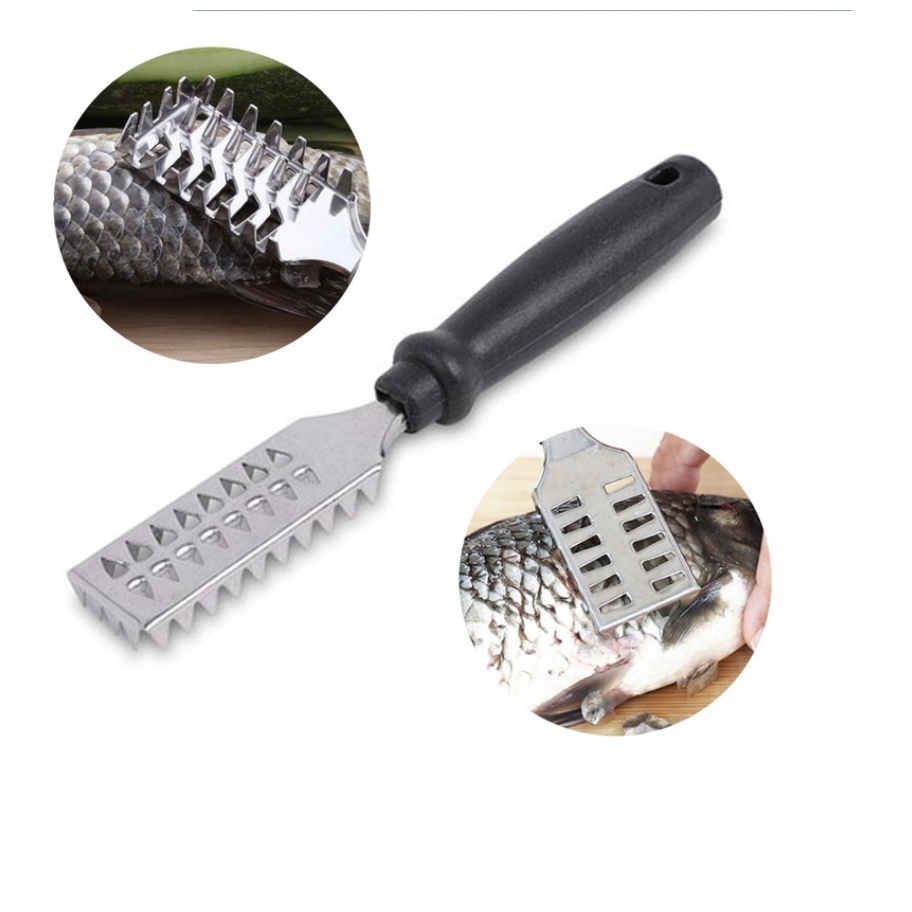 Dụng Cụ Đánh Vẩy Cá Cán Nhựa
