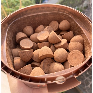 Socola Nama công thức Nhật  -  hộp 408g, viên phủ cacao