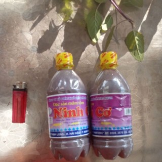 Đặc sản mắm tôm ninh cơ chai 500ml-580g. mắm tôm hải hậu, nam định