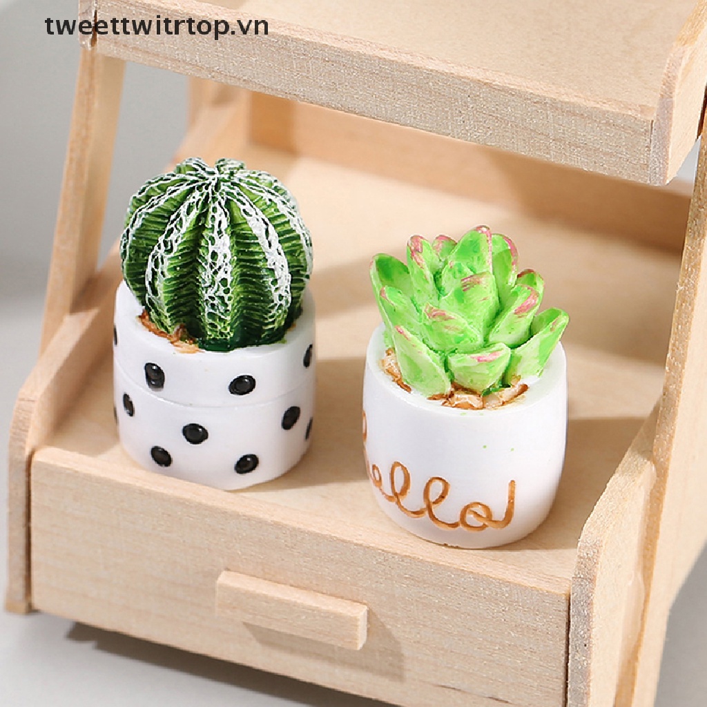 Chậu Cây Xương Rồng Mini Trang Trí Nhà Búp Bê