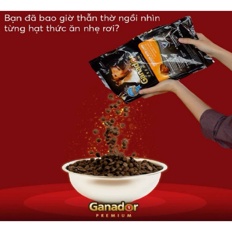 Thức Ăn Hạt Cho Chó Hạt Ganador 400g Nhiều Vị - Hạt cho chó lớn và chó con
