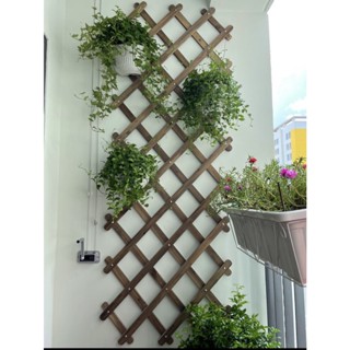 Giàn gỗ đa năng treo tường  trang trí ban công, treo chậu hoa, cây cảnh , giàn leo trồng cây
