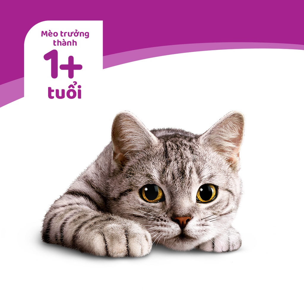 WHISKAS® Bộ thức ăn Pate cho mèo lớn mix 6 vị - 24 túi (80g/túi)