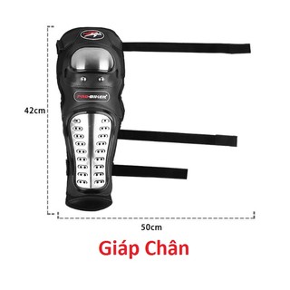 BỘ GIÁP TAY CHÂN PROBIKER INOX