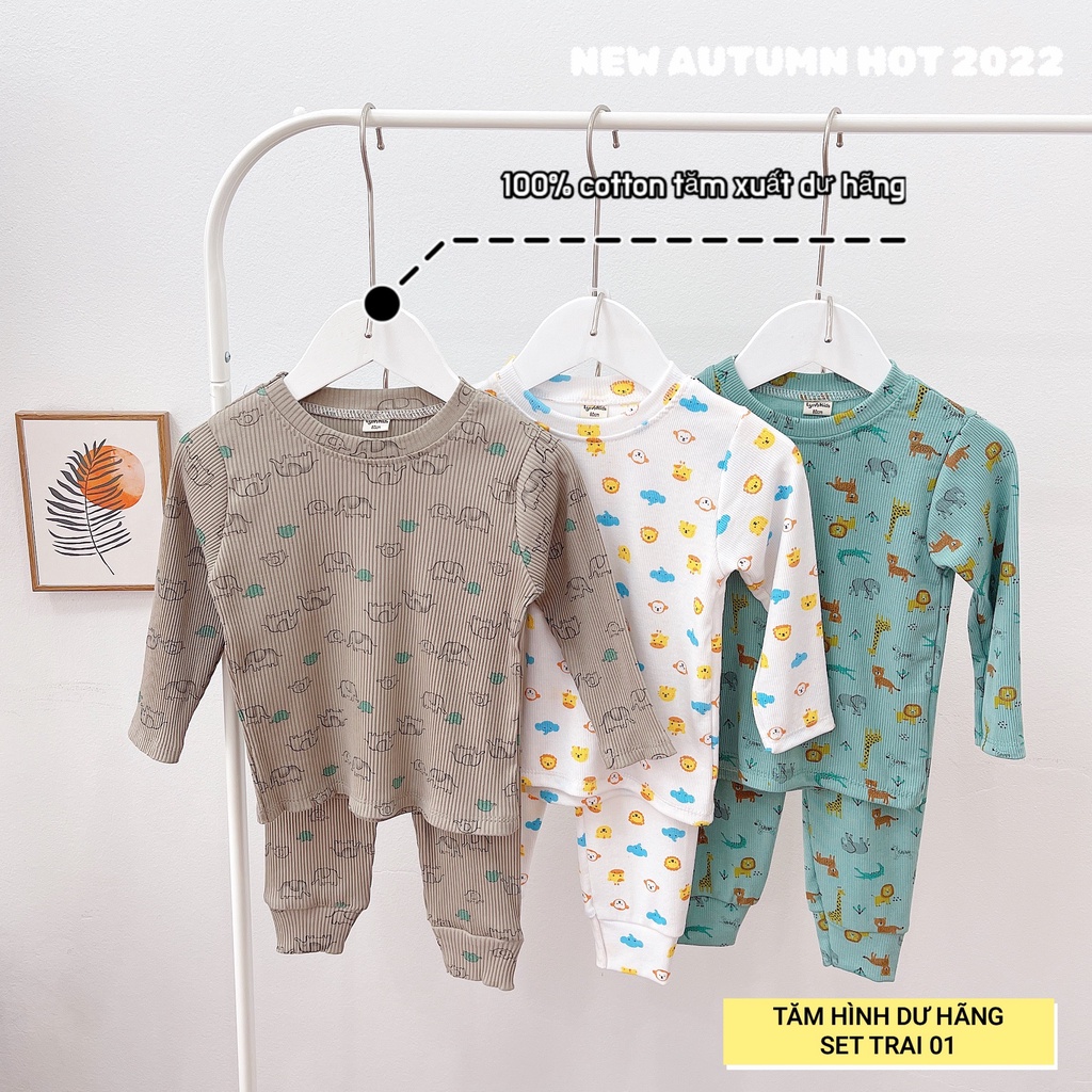 Set 3 bộ hàng xuất dư chất tăm siêu đẹp cho bé trai bé gái