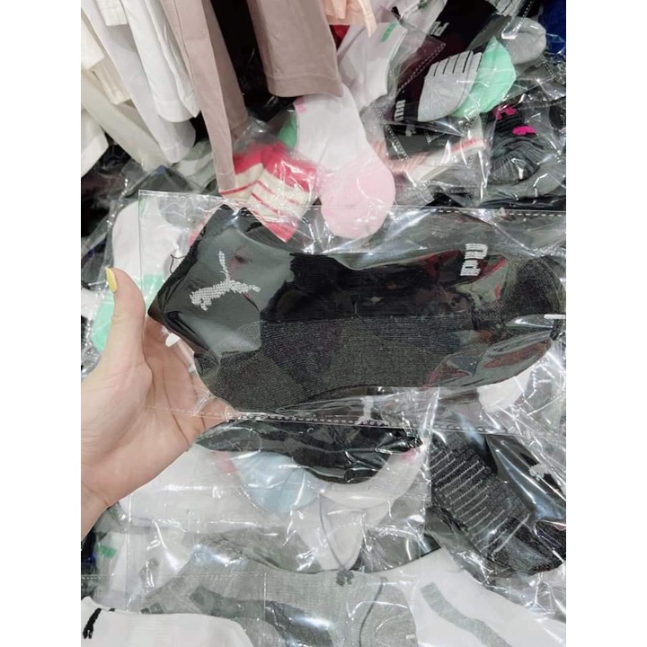 Tất PUMA xuất xịn, đệm bông siêu êm, thấm hút chống hôi chân Sale
