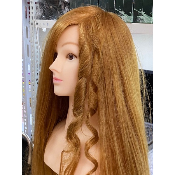 Đầu manocanh có vai sẵn học bới tóc cô dâu có thể uốn, ép dài 65-70cm