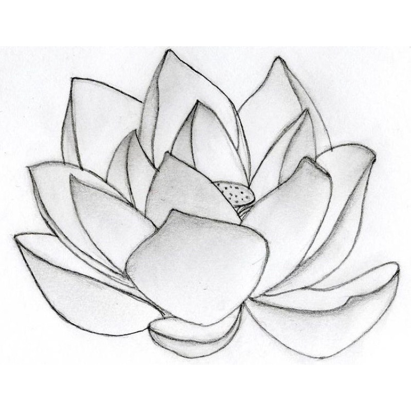 Mẫu thêu in sẵn dính lên vải, tan trong nước