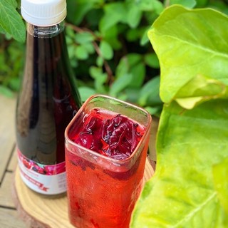 [CÓ XUẤT VAT] Nước cốt atiso đỏ 500ml pha soda, trà trái cây_VT00007