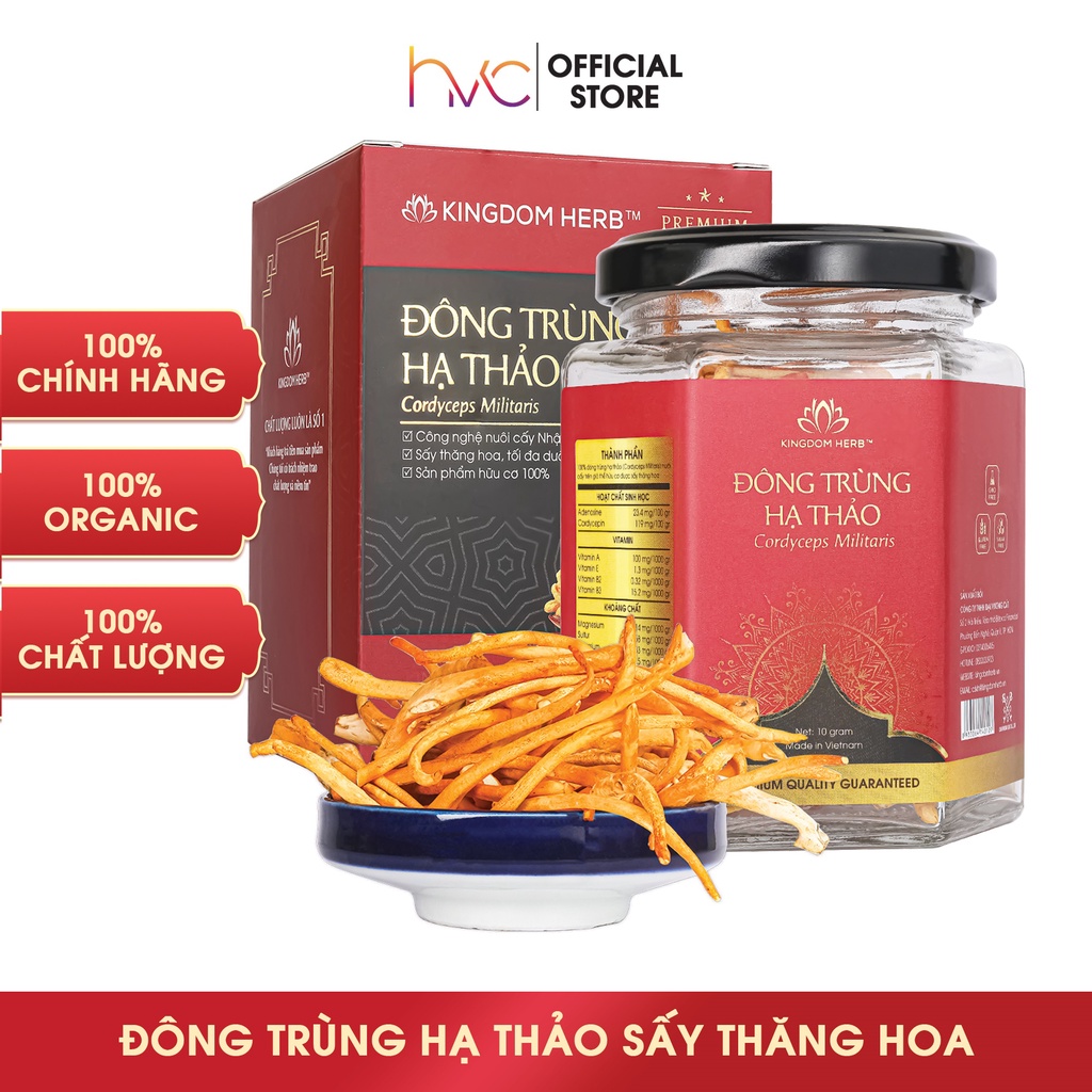 Đông trùng hạ thảo Kingdom Herb chính hãng loại sấy thăng hoa thượng hạng hộp 10g - KQ