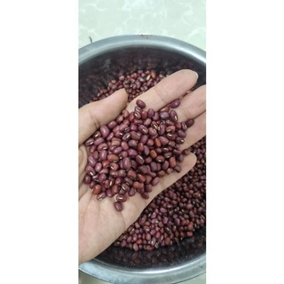 Đậu Đỏ Hữu Cơ Hạt nhỏ thuần chủng trồng tại Nam Định