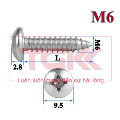 Vít bắt gỗ inox 201 chỏm cầu nhỏ M6