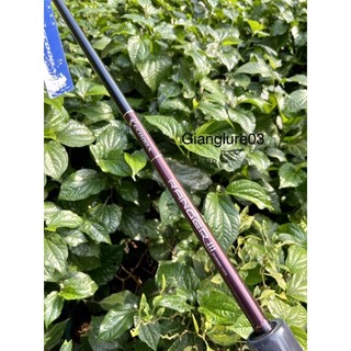 Cần câu Ranger 3