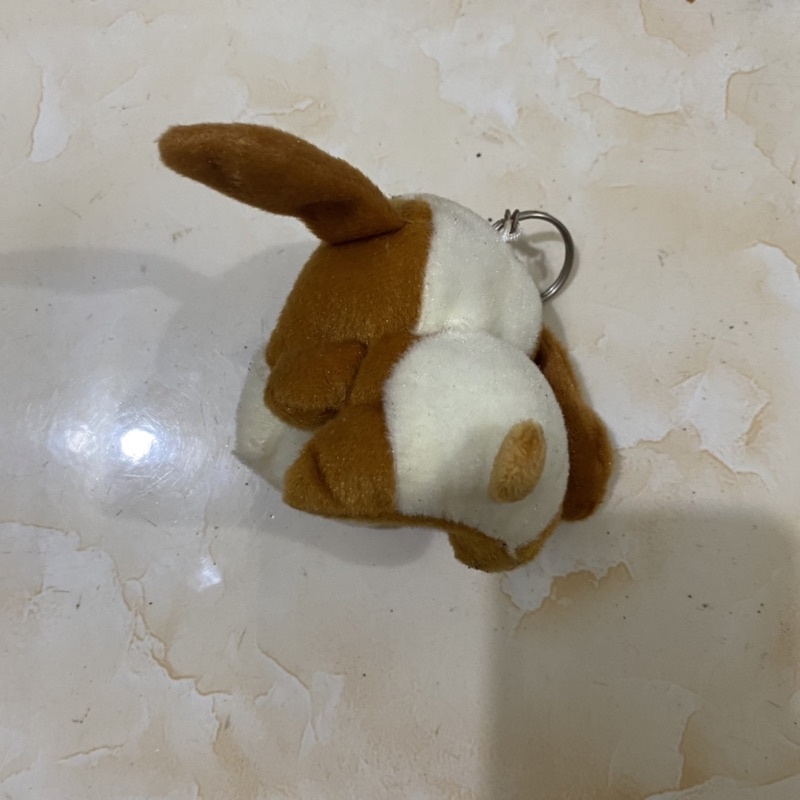 Chó bông nhỏ thanh lý