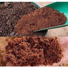 (PHẠM GIA FARM)  túi xơ dừa trồng cây và ươm hạt