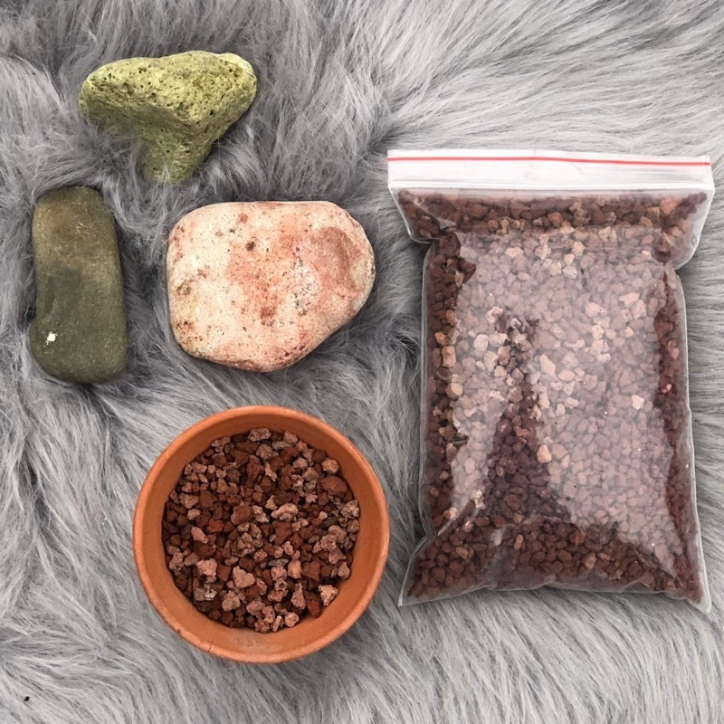 1kg Đá Nham Thạch rải mặt sen đá