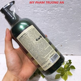Dầu gội  princhic