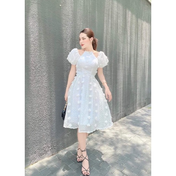 Đầm xòe hoa nổi D161