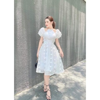 Đầm xòe hoa nổi d161